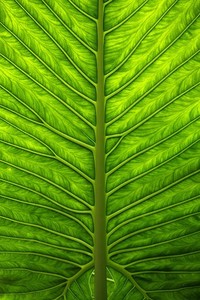 战绩不佳球队遭受连败压力增大