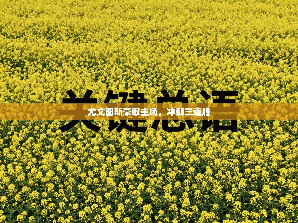 尤文图斯豪取主场，冲刺三连胜  第1张