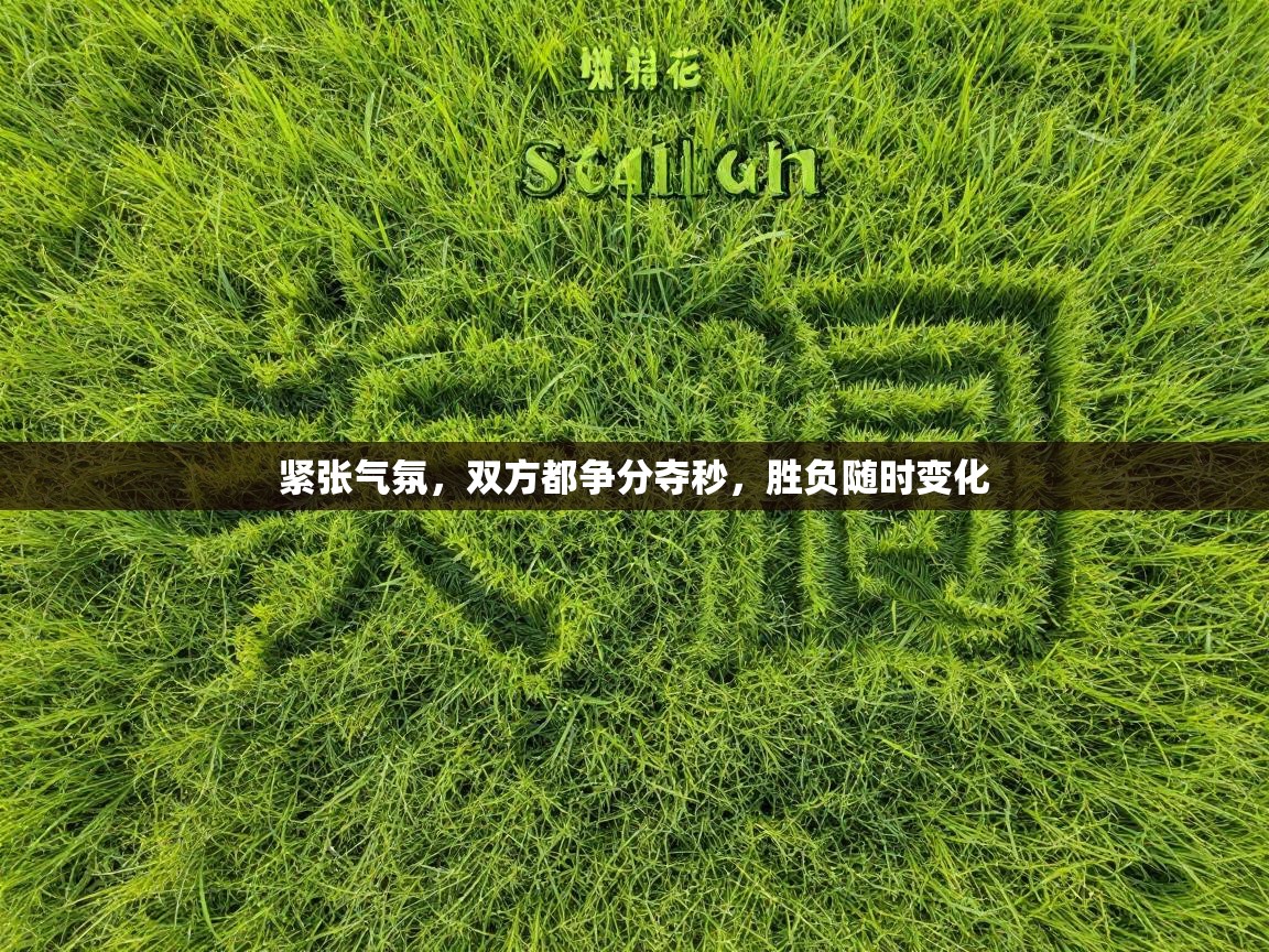 紧张气氛,双方都争分夺秒,胜负随时变化 第1张