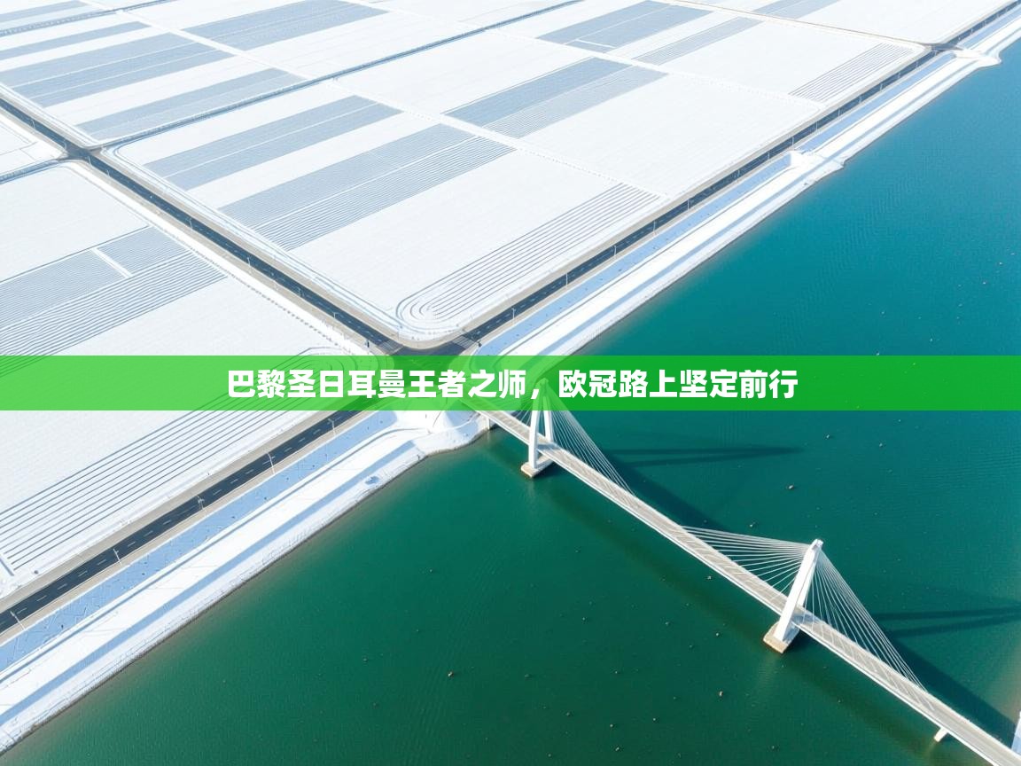 巴黎圣日耳曼王者之师,欧冠路上坚定前行 第1张